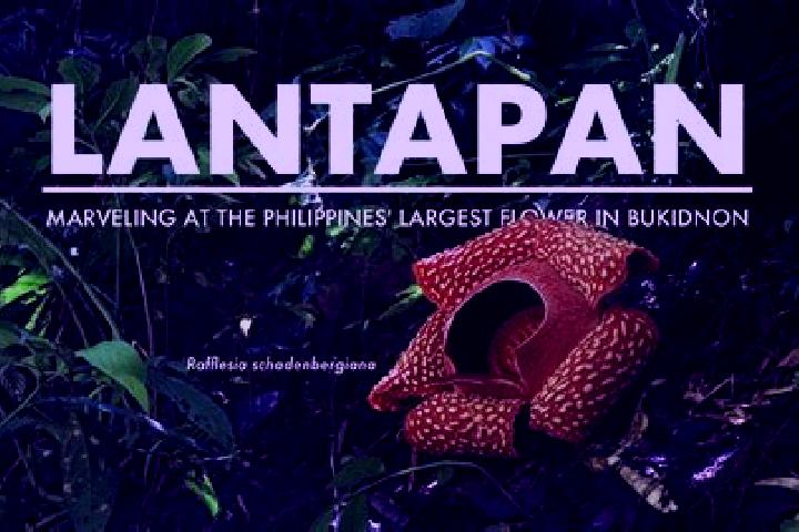 Lucy, 35 — Escort in Lantapan, Philippines
