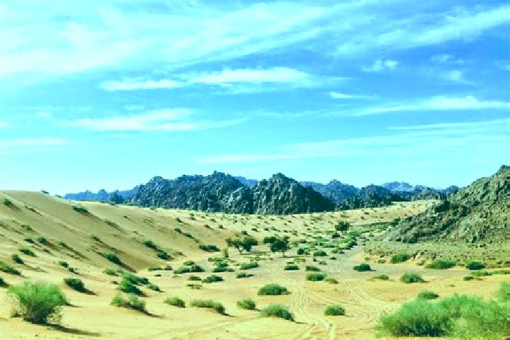 Lucy, 36 — Escort in Al Uyaynah, Saudi Arabia