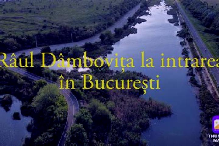Lucy, 36 — Escort in Rau Alb de Sus, Romania