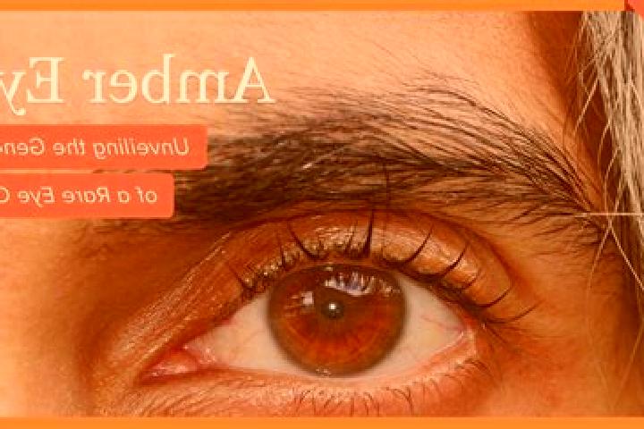 Lucy, 37, a red amber-eyed mixed companion based in Utekhol. Offering Party Girl, Fetish, Erotic Massage, Travel Companion. Available for incall and outcall,...