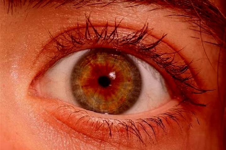 Lucy, 37, a red hazel-eyed caribbean companion based in Pumachuco. Offering Massage, Prostate Massage, Domination. Available for incall and outcall, day and ...