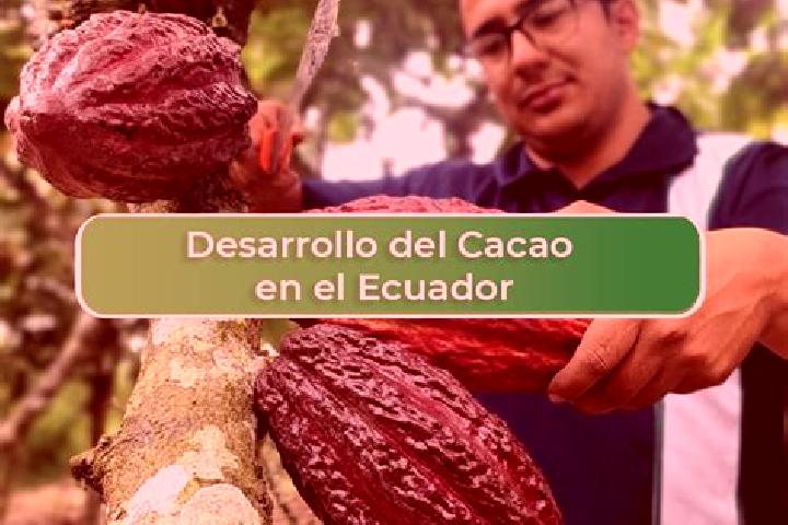 Lucy, 37 — Escort in El Cacao, Panama