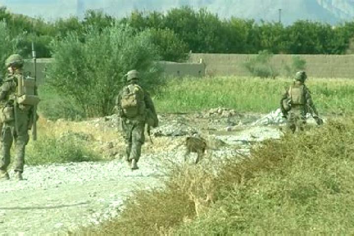 Lucy, 37 — Escort in Sangin, Afghanistan