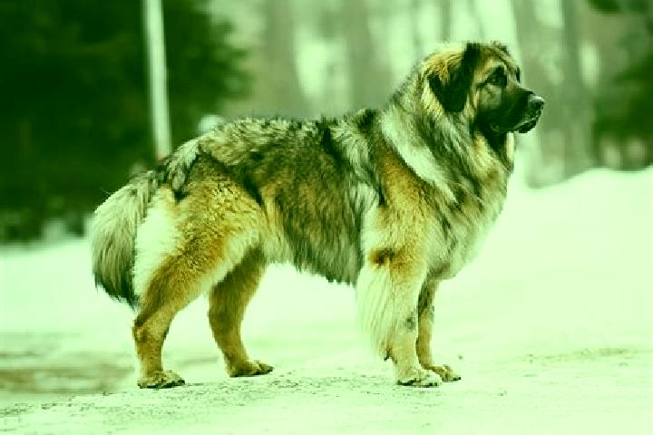 Lucy, 38, a black brown-eyed caucasian companion based in Blackford. Offering CIM, Travel Companion, 69, A-Level. Available for incall and outcall, overnight...