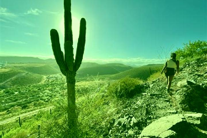 Lucy, 38 — Escort in Cerro de la Palma, Mexico