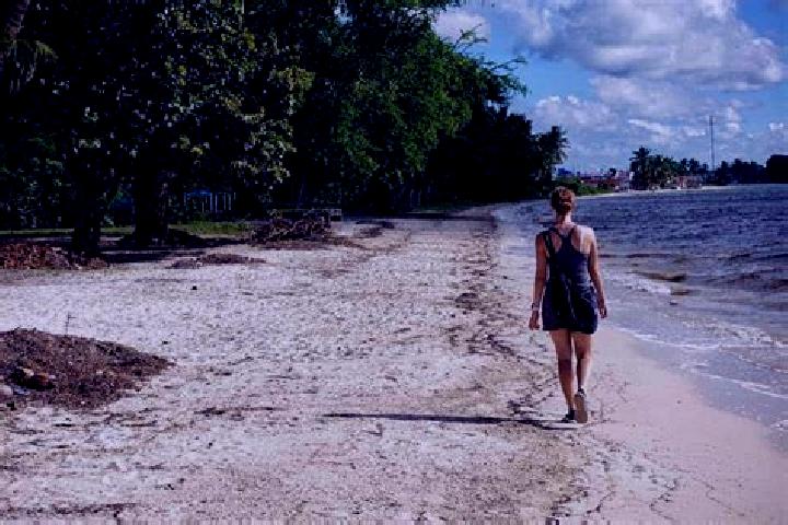 Lucy, 38 — Escort in Playa Larga, Mexico