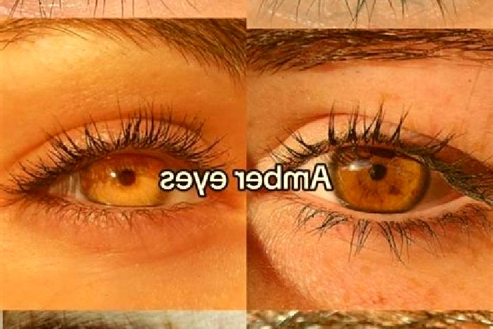 Lucy, 39, a chestnut amber-eyed slavic companion based in Paese. Offering Tantra, 69, Travel Companion. Available for incall and outcall, day and evening dates.