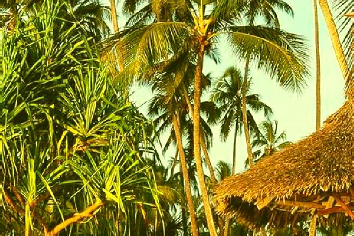 Lucy, 39 — Escort in Bungu, Tanzania