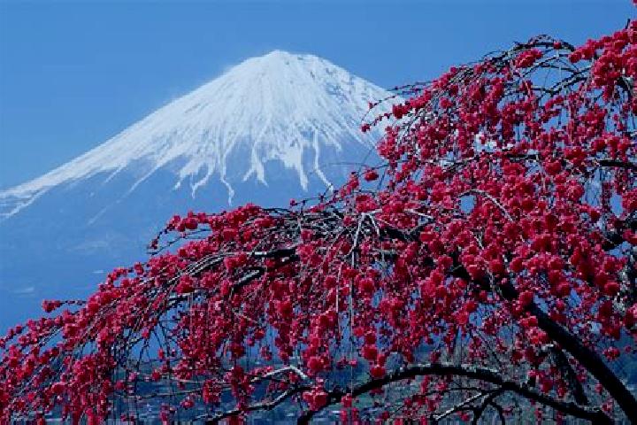 Lucy, 39 — Escort in Kamirenjaku, Japan