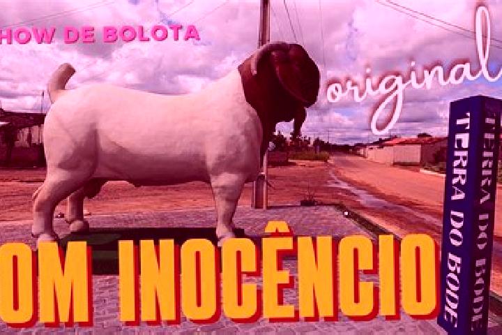 Luna, 20 — Escort in Dom Inocencio, Brazil