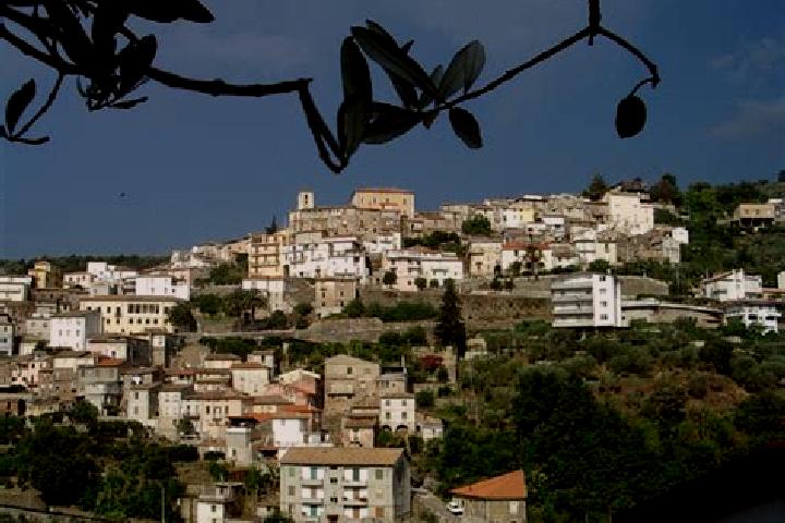 Luna, 20 — Escort in Feroleto Antico, Italy