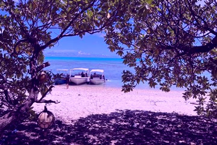 Luna, 20 — Escort in Kayangel, Palau