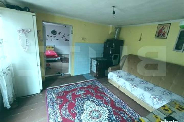 Luna, 20 — Escort in Pianu de Jos, Romania