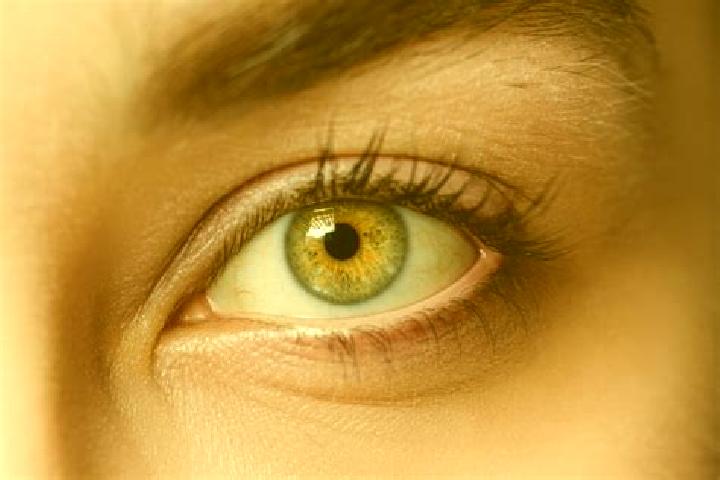 Luna, 21, a black hazel-eyed mixed companion based in Thorembais-Saint-Trond. Offering Domination, BDSM, Overnight. Available for incall and outcall, day and...