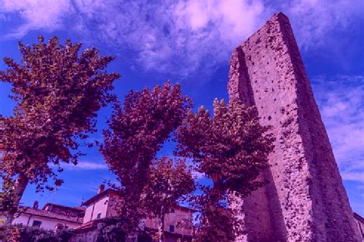 Luna, 21 — Escort in Castel di Casio, Italy