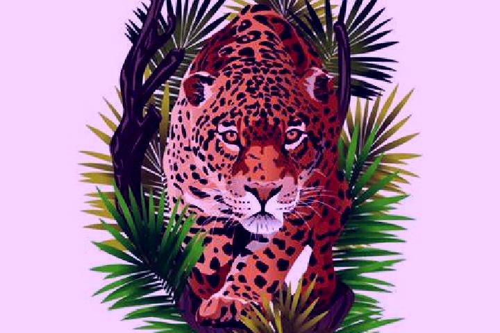 Luna, 21 — Escort in Onca, Brazil