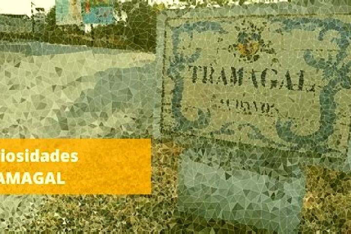 Luna, 21 — Escort in Tramagal, Portugal