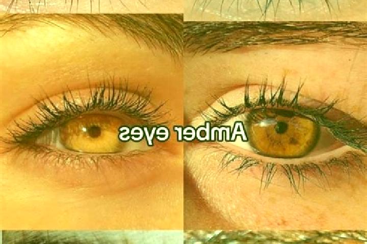 Luna, 22, a chestnut amber-eyed mediterranean companion based in Raviart. Offering Overnight, 69, Massage, GFE. Available for incall and outcall, day and eve...