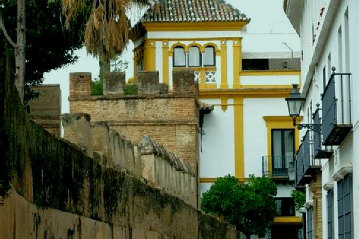 Luna, 22 — Escort in Barrio Santa Cruz, Mexico