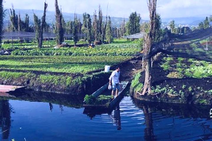 Luna, 22 — Escort in Chinampas, Mexico