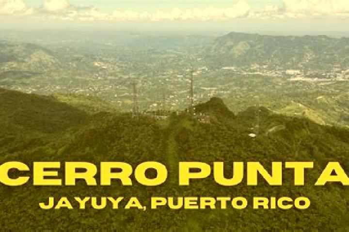 Luna, 22 — Escort in Jayuya, Puerto Rico