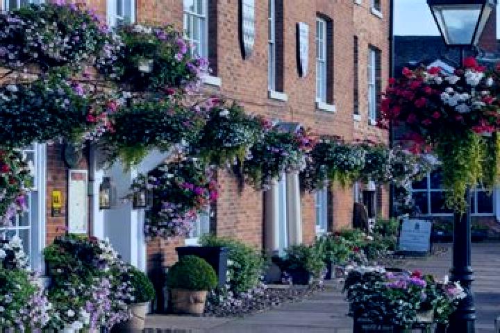 Luna, 22 — Escort in Market Bosworth, United Kingdom