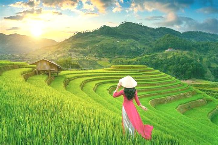 Luna, 22 — Escort in Mu Cang Chai, Vietnam