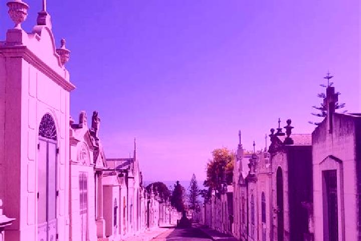 Luna, 22 — Escort in Parada de Gonta, Portugal