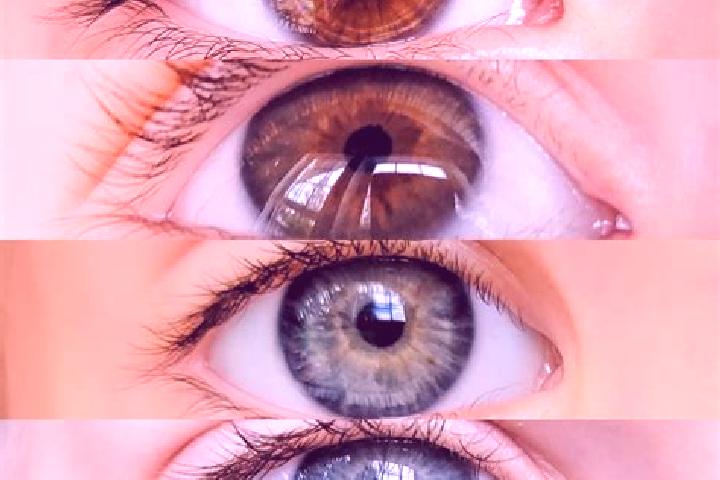 Luna, 23, a chestnut grey-eyed mixed companion based in Paulistana. Offering A-Level, Couples, Duos, Massage, BDSM. Available for incall and outcall, day and...