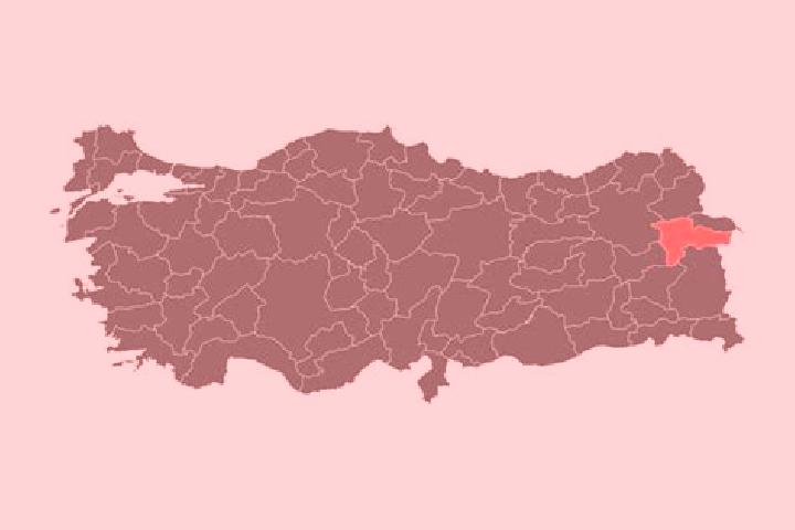 Luna, 23 — Escort in Agri, Turkey