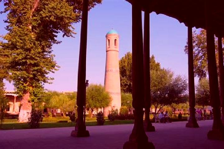 Luna, 23 — Escort in Fergana, Uzbekistan