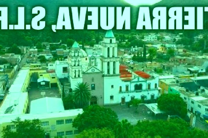 Luna, 23 — Escort in Tierra Nueva, Mexico