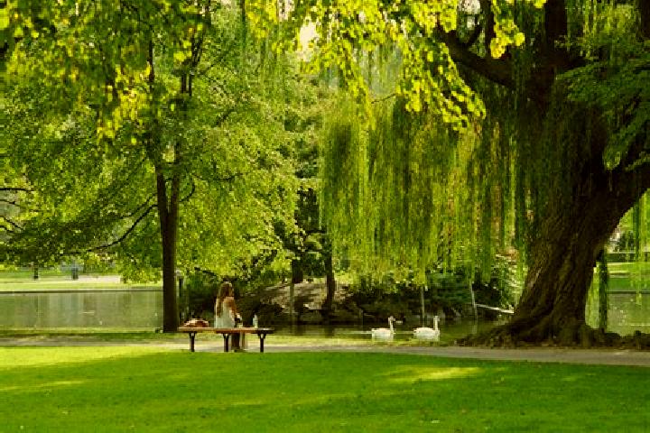 Luna, 23 — Escort in Virginia Park, Canada