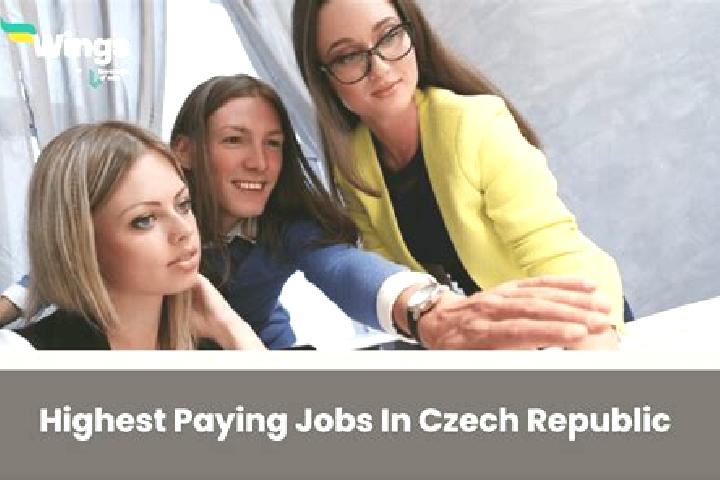 Luna, 24 — Escort in Kresice, Czech Republic
