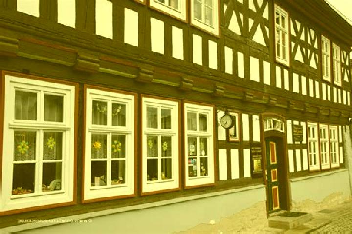 Luna, 24 — Escort in Oberweissbach, Germany