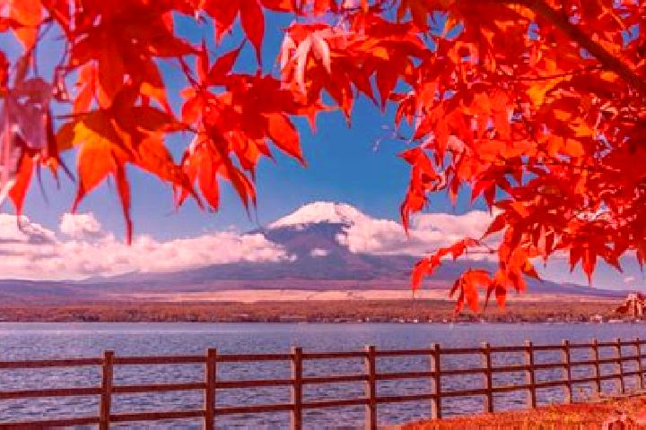 Luna, 24 — Escort in Tatsugo, Japan