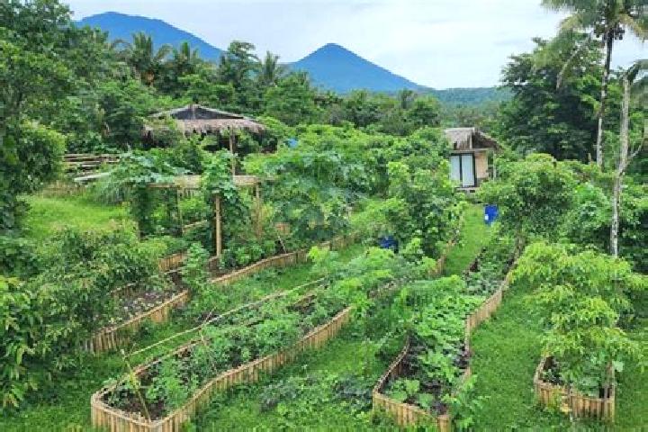 Luna, 24 — Escort in Tayabas, Philippines