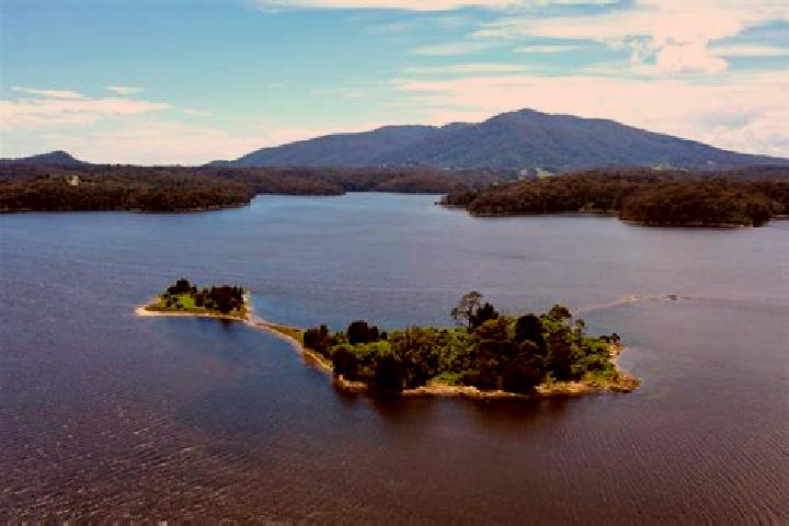 Luna, 24 — Escort in Wallaga Lake, Australia