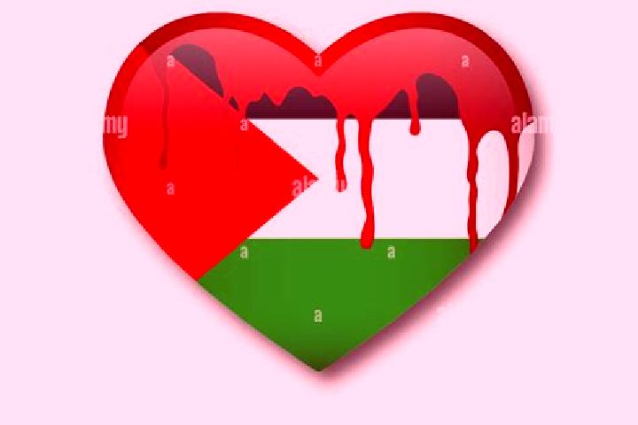 Luna, 25 — Escort in Abu Qashsh, Palestine