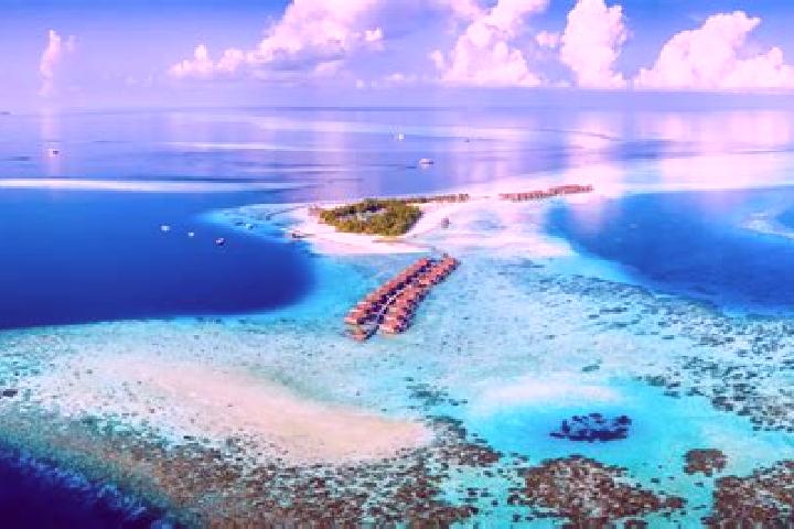 Luna, 25 — Escort in Maafaru, Maldives