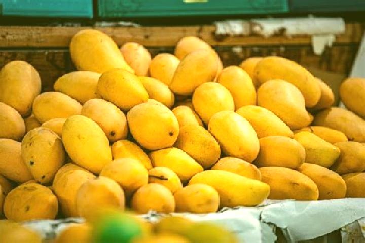 Luna, 25 — Escort in Mango, India