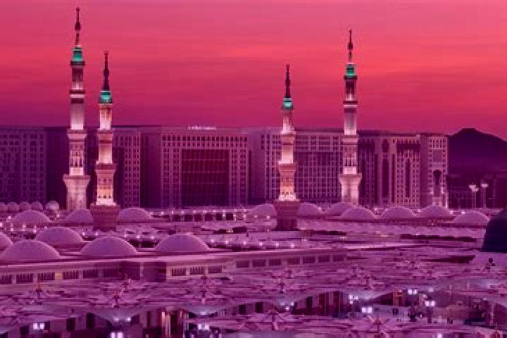 Luna, 25 — Escort in Medinah, United States