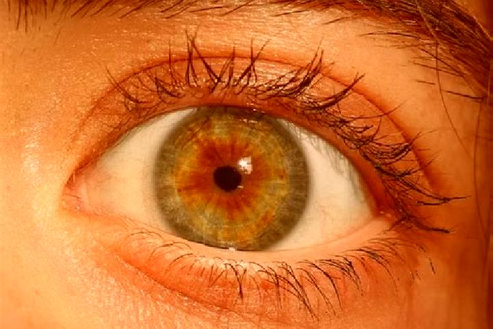 Luna, 26, a red hazel-eyed mediterranean companion based in Yalahui. Offering Domination, CIM, BDSM, Tantra. Available for incall and outcall, day and evenin...