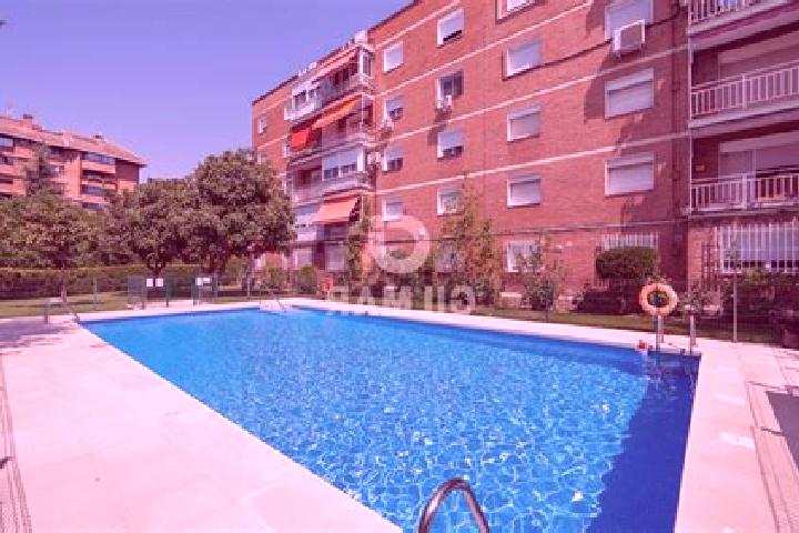 Luna, 26 — Escort in El Pardo, Spain