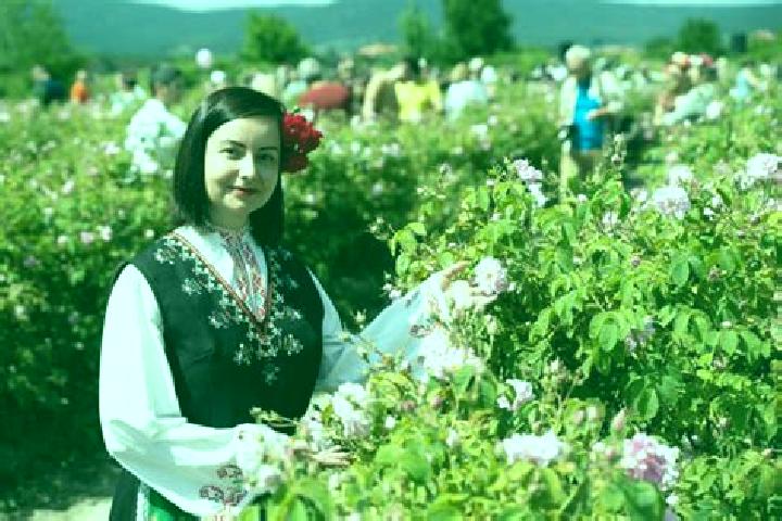 Luna, 26 — Escort in Kazanlak, Bulgaria