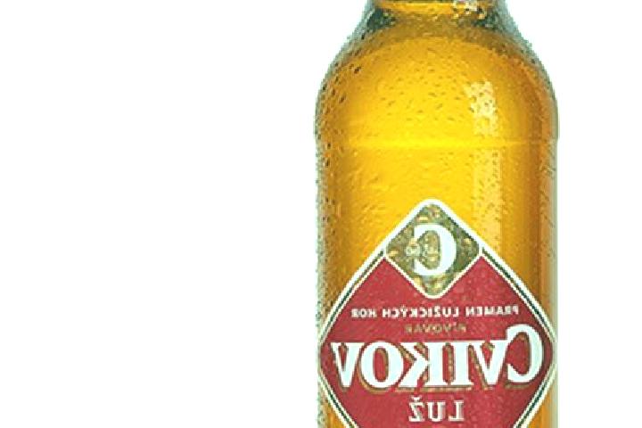 Luna, 27 — Escort in Cvikov, Czech Republic