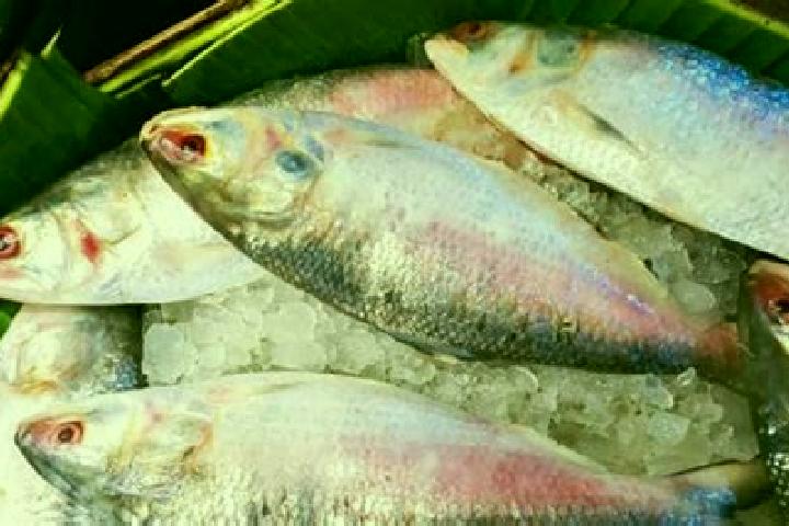 Luna, 27 — Escort in Hilsa, India