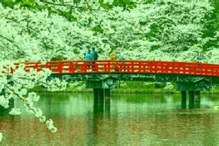 Luna, 27 — Escort in Hiranai, Japan