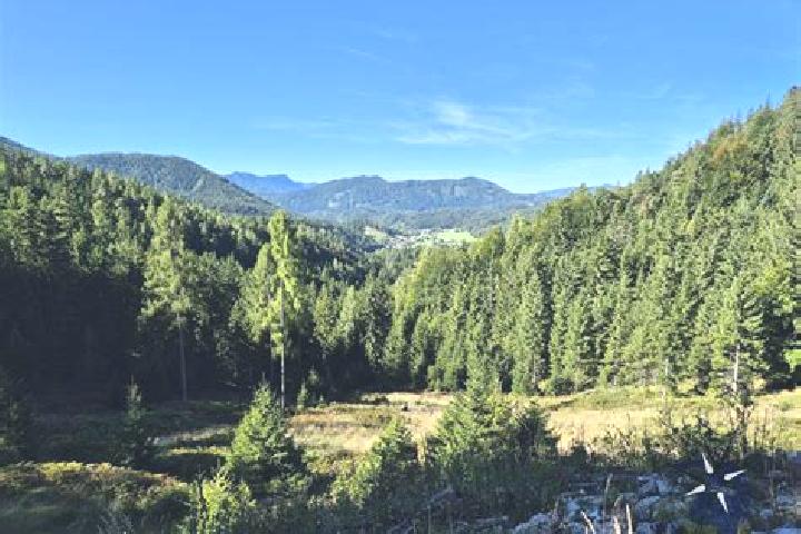 Luna, 27 — Escort in Rohr im Gebirge, Austria