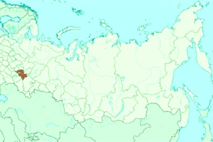 Luna, 27 — Escort in Russkiy Kukmor, Russia